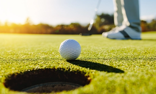 Sanctuary Navi Mumbai Images